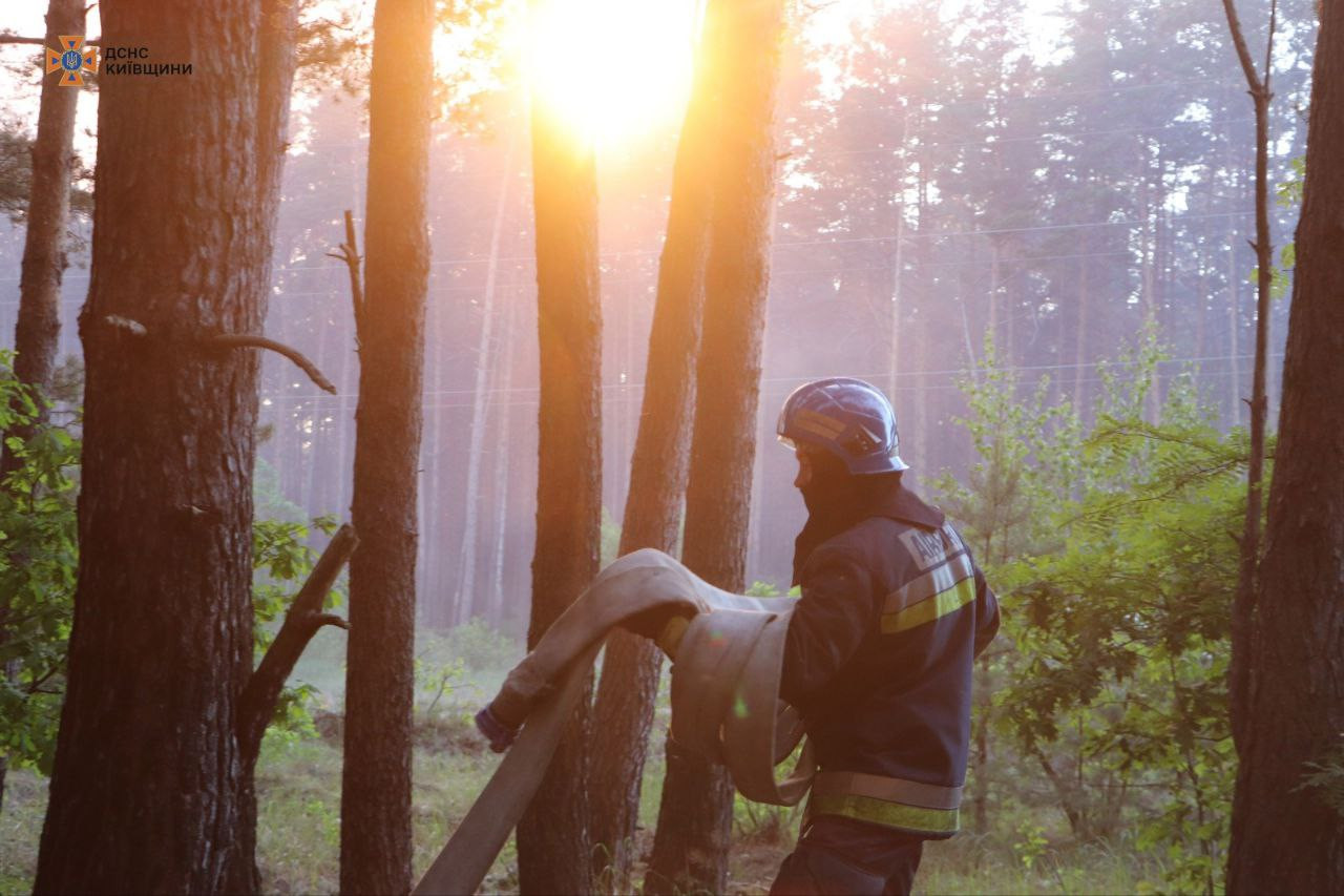Вогнеборці Київщини показали наслідки масштабної пожежі під Вишгородом (ВІДЕО) - 1 - зображення